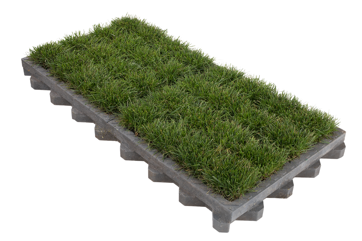 turf+grid+plate+TTE%C2%AE+GREEN