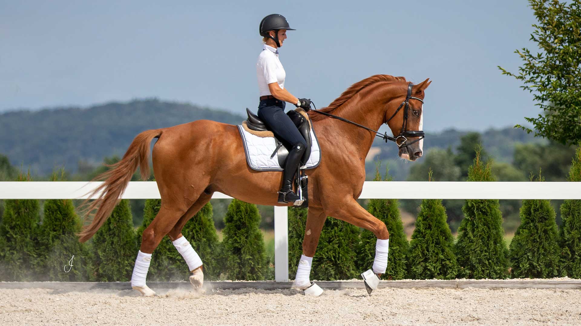 TTE® RIDING ARENA: ideal riding characteristics for dressage and show jumping.