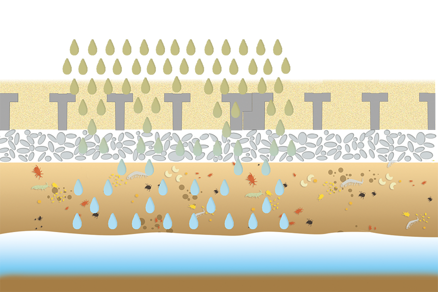 Simplified approval procedure thanks to degradation of ammonia and faecal residues by microorganisms