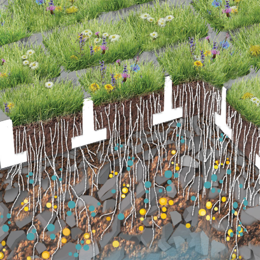 Ideal greening with TTE® GREEN through protection of the sward and special substrate structure. Optimal water supply and nutrient supply.