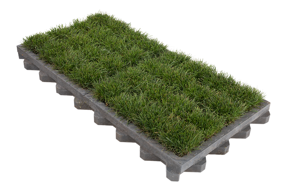 TTE® GREEN turf grid