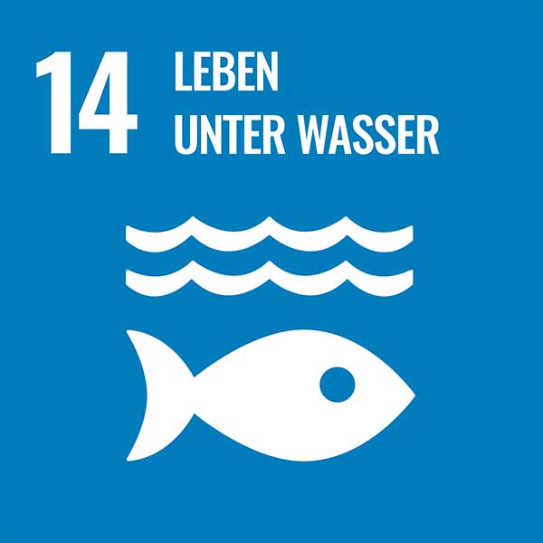 UN-Nachhaltigkeitsziel 14: Leben unter Wasser