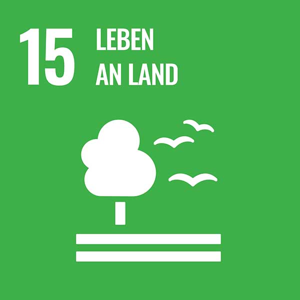 UN-Nachhaltigkeitsziel 15: Leben an Land