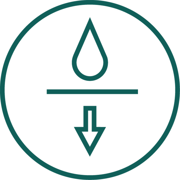 Dressurplatz & Springplatz