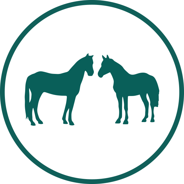 Icon Pferdegruppe