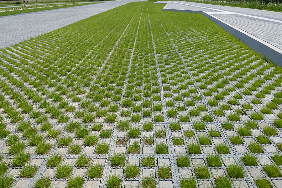 Vielf%C3%A4ltige+Vorteile+von+TTE%C2%AE+GR%C3%9CN