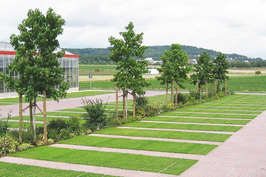 TTE® als Wurzelschutz für Bestandsbäume TTE® als Wurzelschutz für Bestandsbäume